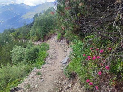 Wanderung nach Hochfügen