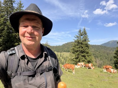 Mühe und Kühe beim Aufstieg