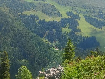 Wanderung nach Hochfügen